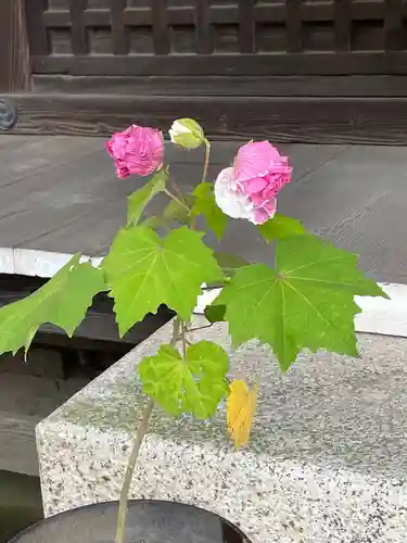 鷲宮神社の自然