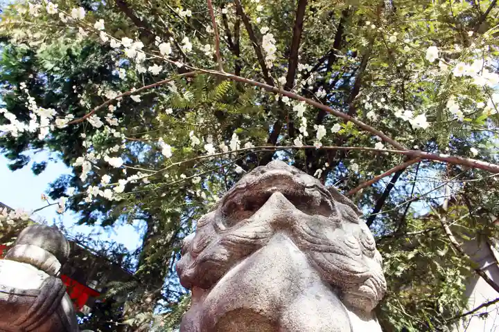 くまくま神社(導きの社 熊野町熊野神社)の狛犬