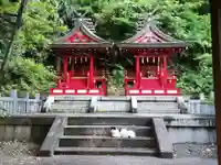 白金氷川神社の動物