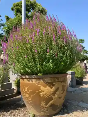 要法寺(神奈川県)