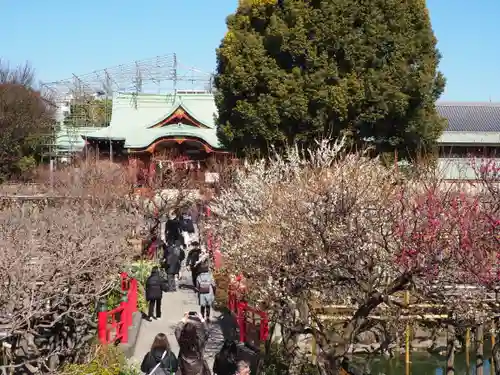 亀戸天神社(東京都)