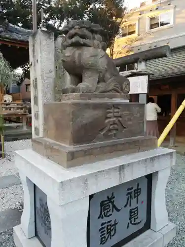 川越熊野神社の狛犬