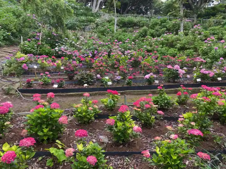 二本松寺の自然