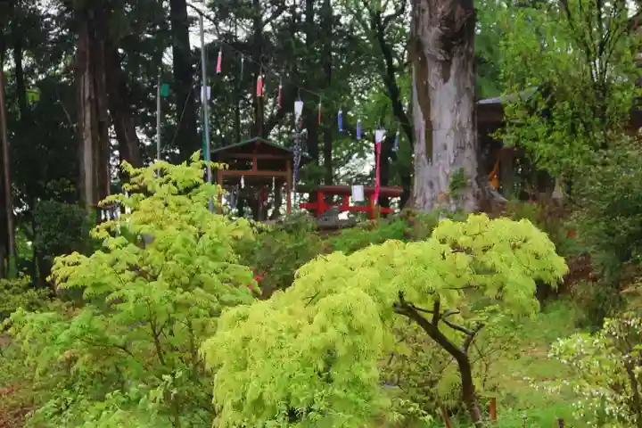 阿久津「田村神社」(郡山市阿久津町)旧社名:伊豆箱根三嶋三社の景色