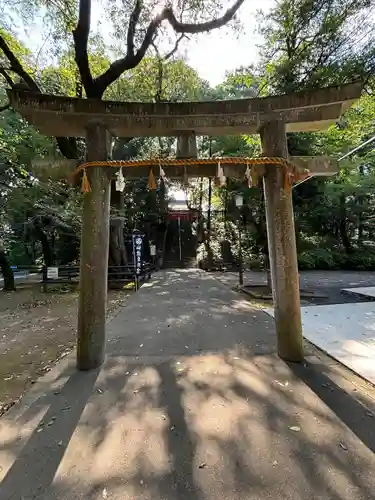 仙波東照宮(埼玉県)