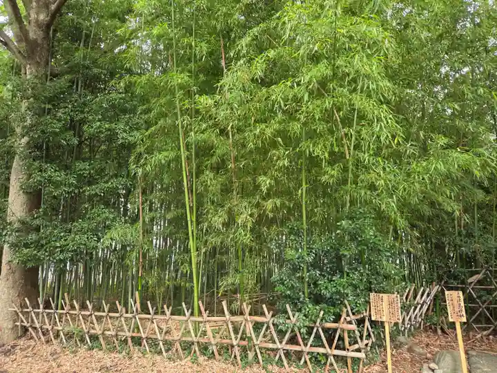 豊満神社(滋賀県)