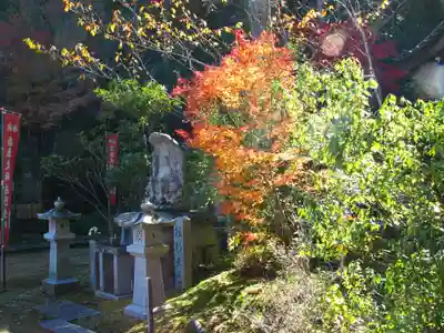 安養寺のその他建物