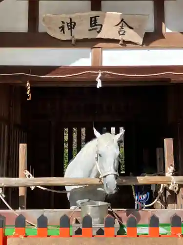 賀茂別雷神社（上賀茂神社）(京都府)