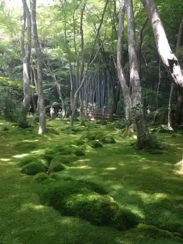 祇王寺の庭園