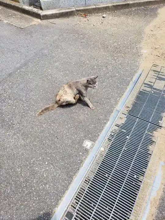 成田山新勝寺(千葉県)