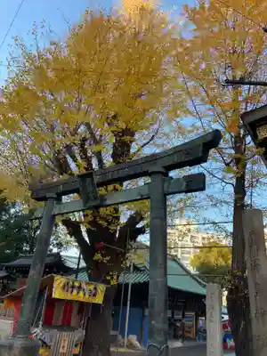 湯島天満宮の鳥居