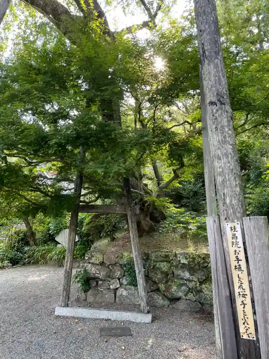 善峯寺(京都府)
