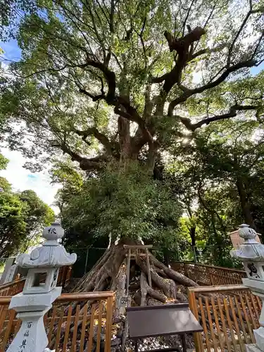 和泉國一之宮　大鳥大社(大阪府)