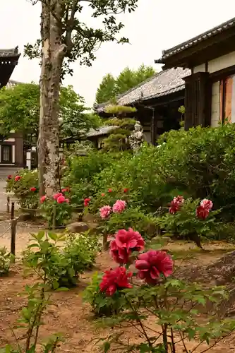 楽法寺（雨引観音）(茨城県)