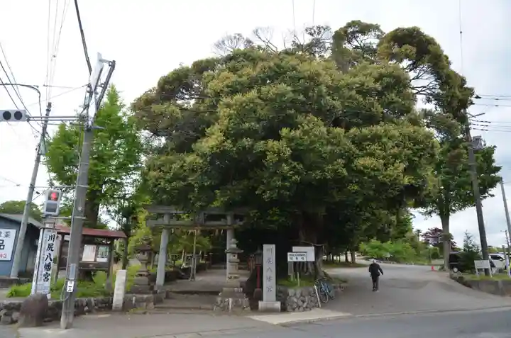 川尻八幡宮(神奈川県)