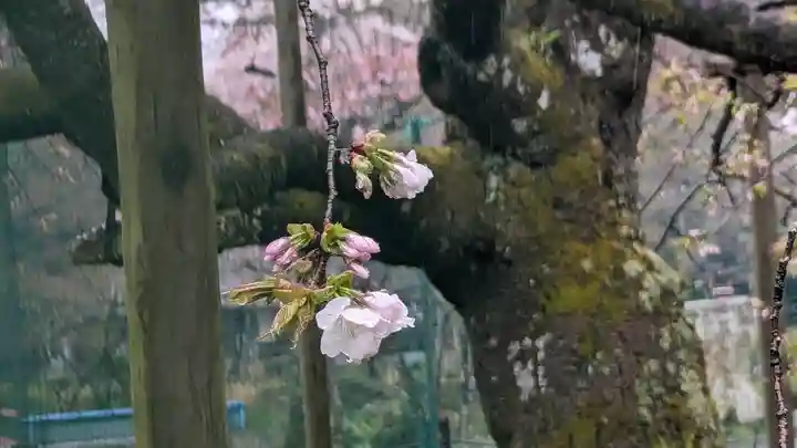 大原野神社(京都府)