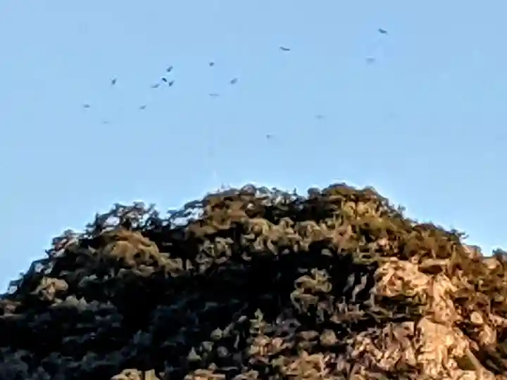 氷上八幡神社(香川県)