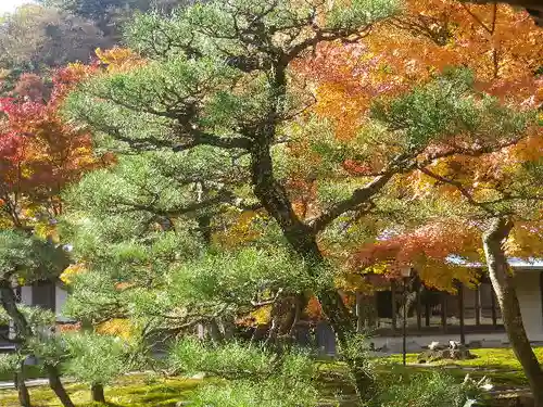 長壽寺（長寿寺）の庭園