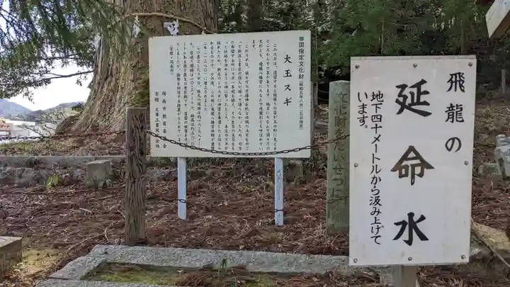 飛龍八幡宮(山口県)