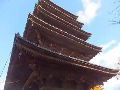 東寺(教王護国寺)の塔