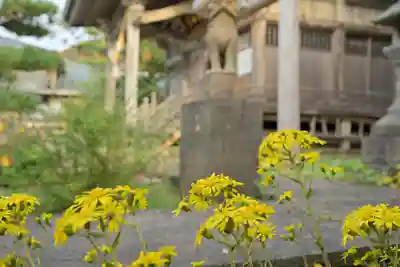 白山媛神社(新潟県)