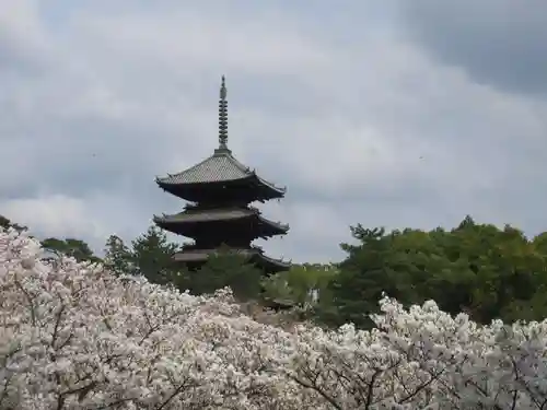 仁和寺の庭園