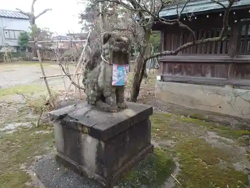 五泉八幡宮の狛犬