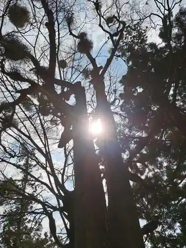 比々多神社元宮(神奈川県)