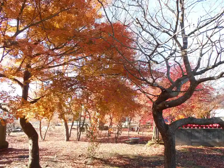 会津薬師寺(福島県)