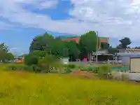 八王子社の自然