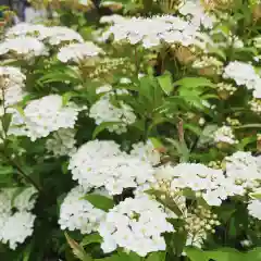 豊景神社の自然