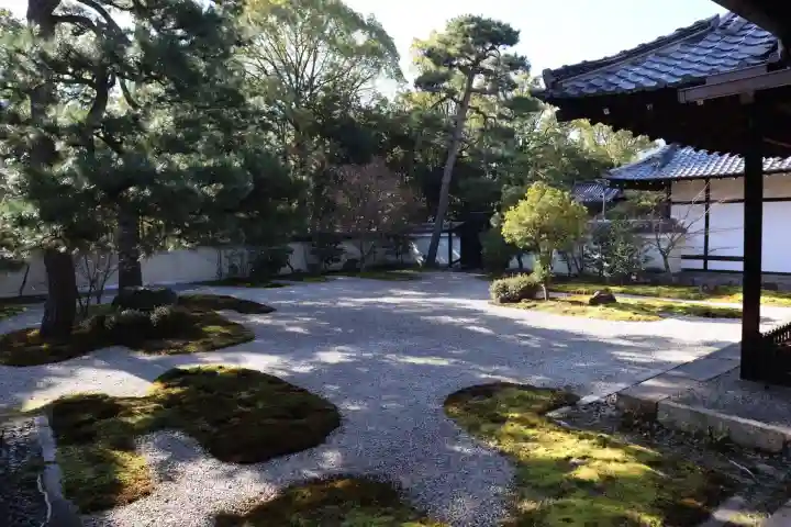 廬山寺(廬山天台講寺)(京都府)
