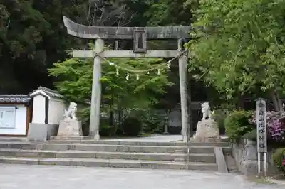白山比咩神社の鳥居