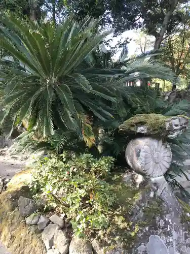 鹿児島神宮の自然