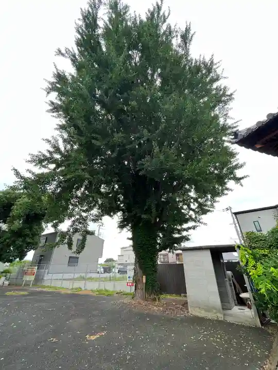 誕生寺(京都府)