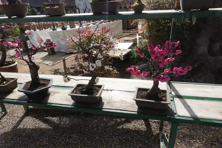 菅原天満宮(菅原神社)のその他建物