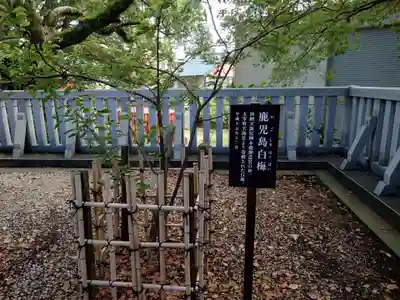 加納天満宮(岐阜県)