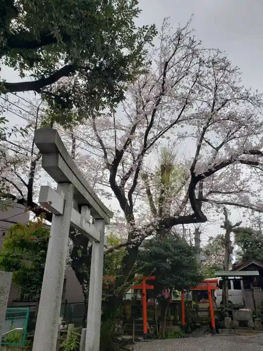 本郷氷川神社(東京都)