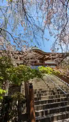 松ヶ崎大黒天 妙圓寺(妙円寺)の本殿・本堂