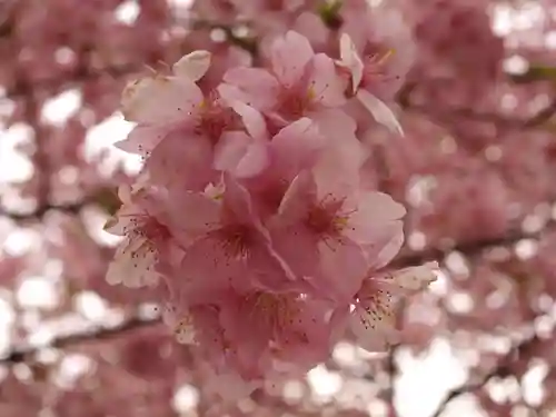 三毳不動尊の周辺