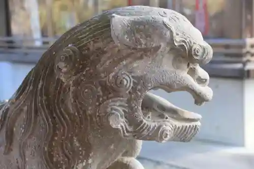 長屋神社の狛犬