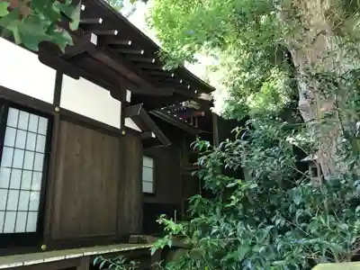 山寺日枝神社の本殿・本堂