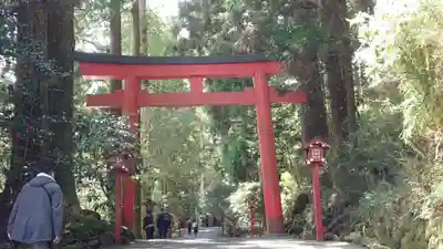 箱根神社(神奈川県)