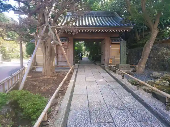 報国寺の山門・神門
