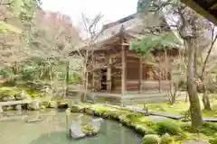 蓮華寺（洛北蓮華寺）の庭園