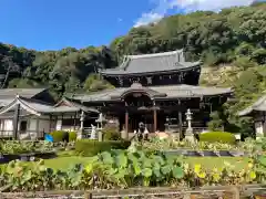 三室戸寺(京都府)