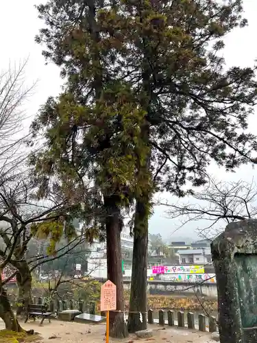 與止日女神社の自然