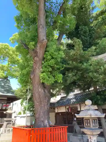 澪標住吉神社の自然