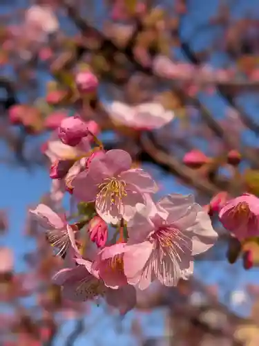繁榮稲荷神社(東京都)