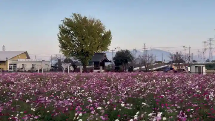 寅稲荷神社の自然